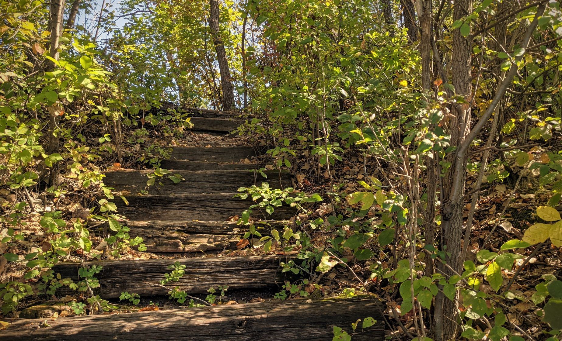 Fall in Mason City - stairs